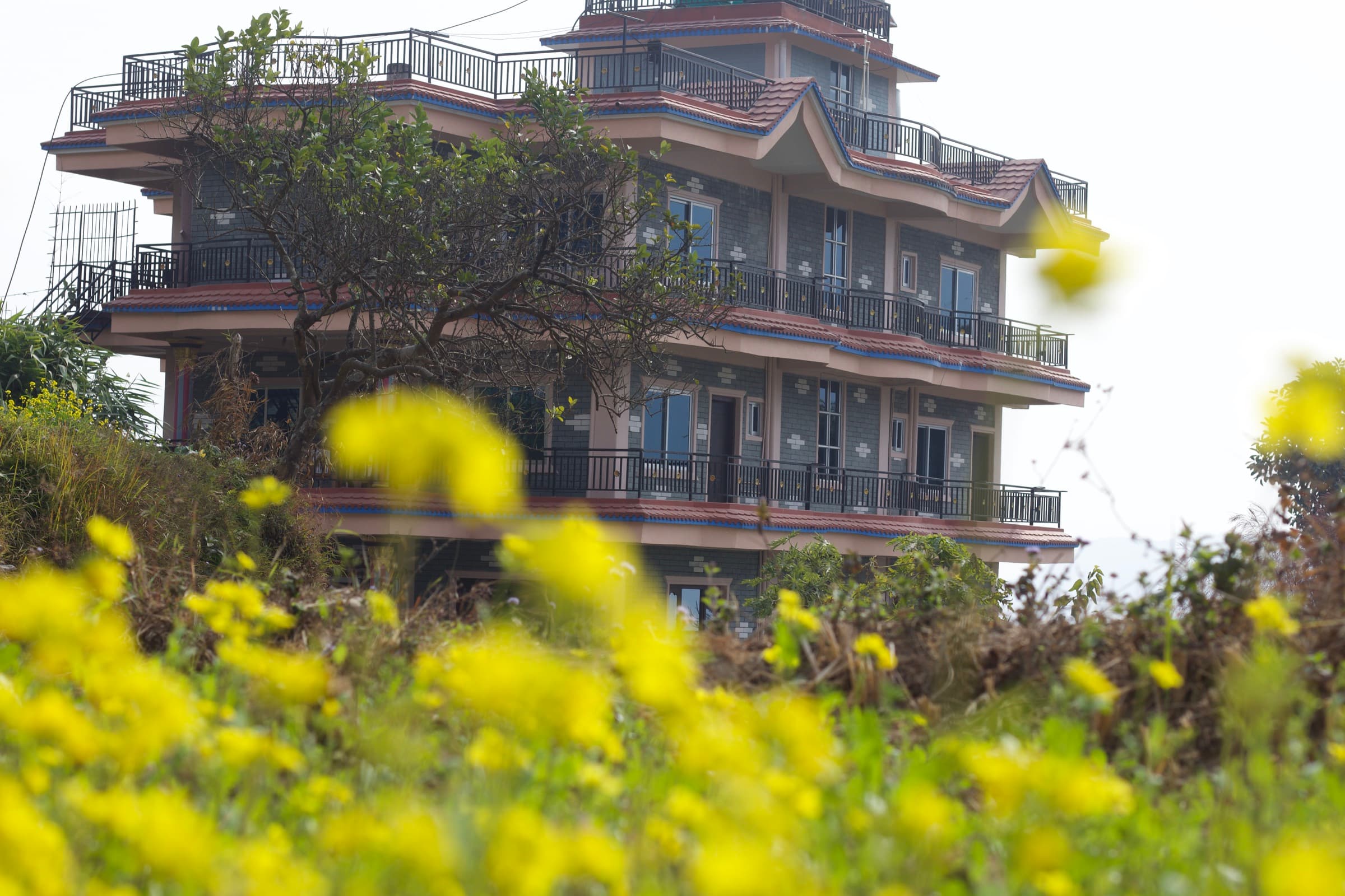 A scenic view from 360 Lakefront